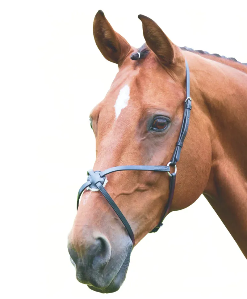 Blenheim Mexican Noseband Black